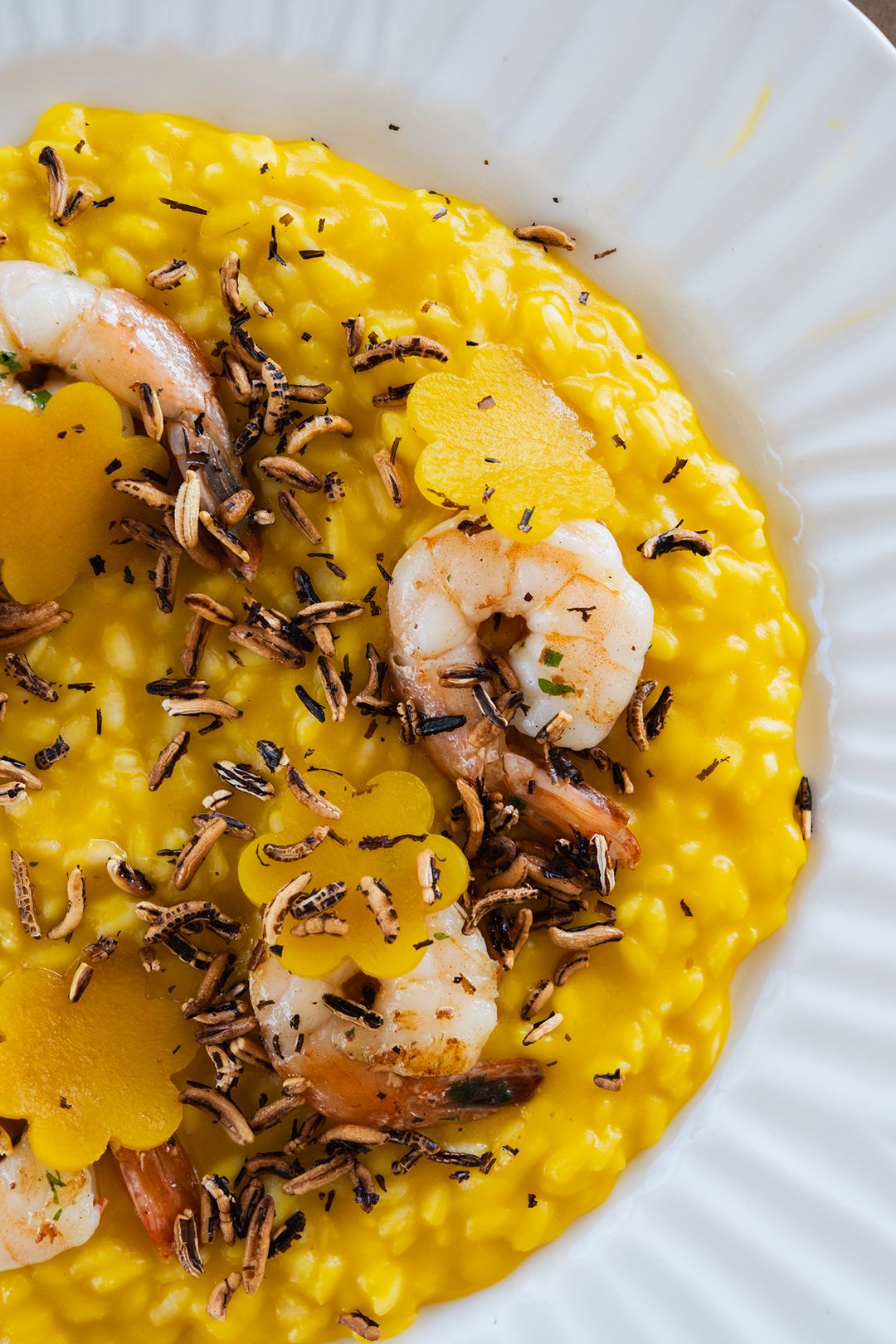 Gamberi: prawns with risotto and hokkaido pumpkin, Przystań & Marina